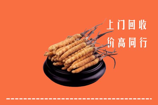 高价求购：玉林市福绵区回收散虫草