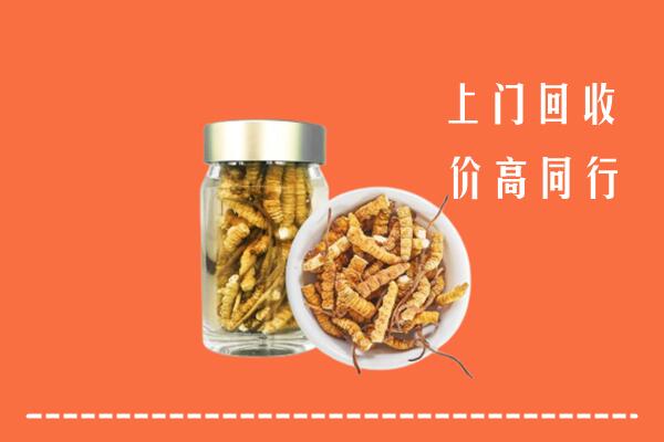 玉林市福绵区回收冬虫夏草
