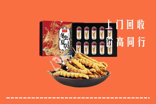 玉林市福绵区回收虫草